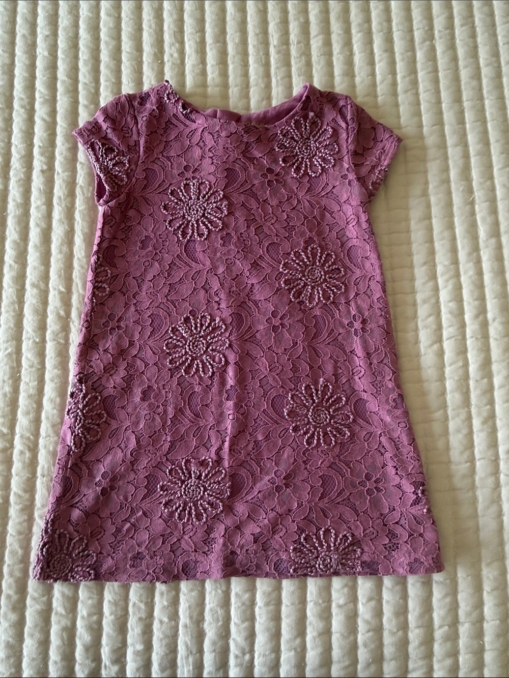 OshKosh B'gosh Mauve Lace Floral Cap-Sleeve Dress
